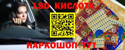 шишки Кандалакша
