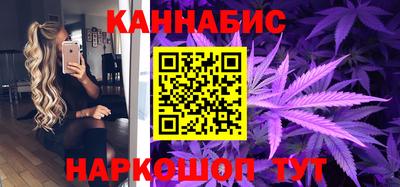 шишки Кандалакша