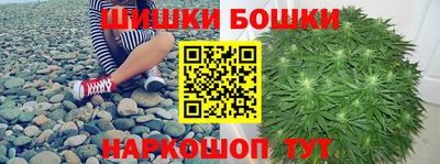 шишки Кандалакша