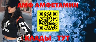 шишки Кандалакша