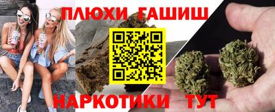 шишки Кандалакша