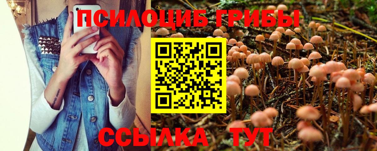 Галлюциногенные грибы Cubensis Верхняя Салда
